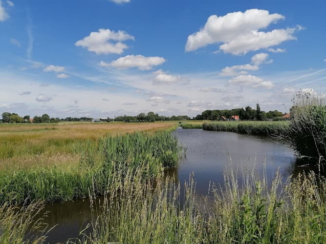 Middelpolder