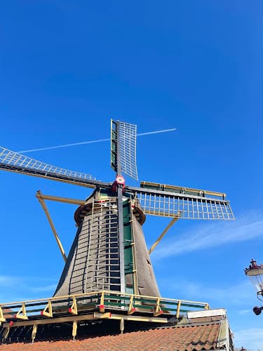 Those Amsterdames
