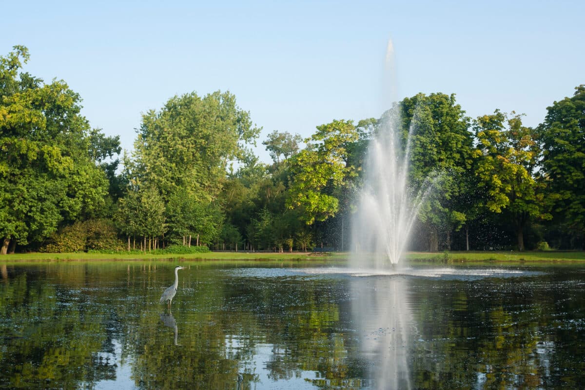 Amsterdam’s Secret Wildlife: 12 Mind-Blowing Animal Encounters Hiding in Plain Sight