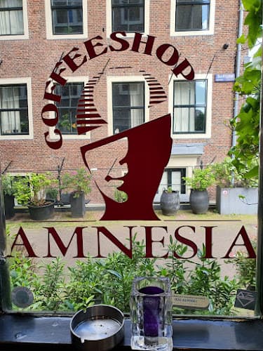 Amnesia