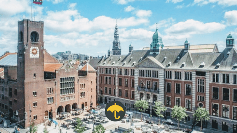 Freedam Tours