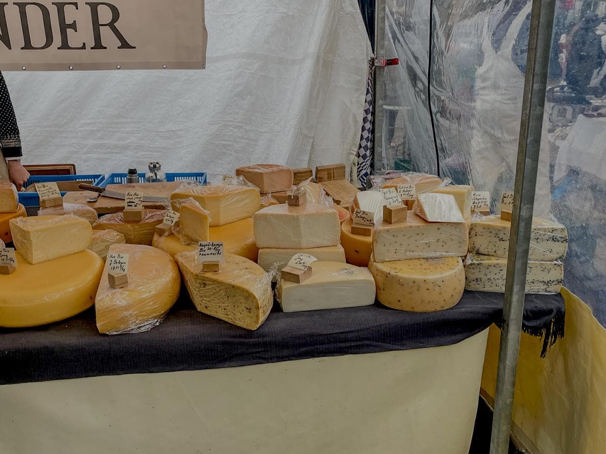 Dutch cheese board with glasses of jenever