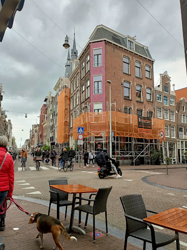 Café De Blauwe Druif: Historic Amsterdam Brown Bar Since 1733