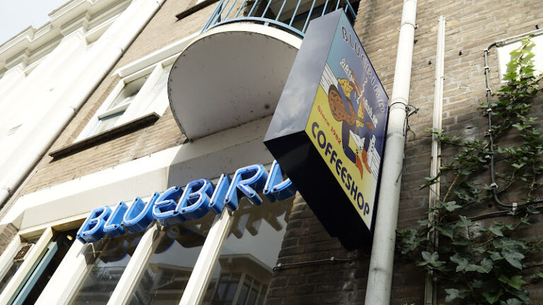 Coffeeshop Bluebird - Amsterdam