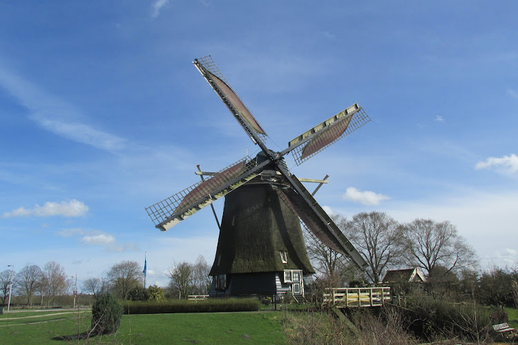 De Riekermolen (1636)