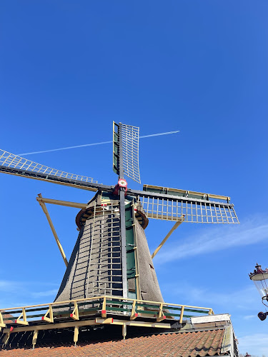 Those Amsterdames