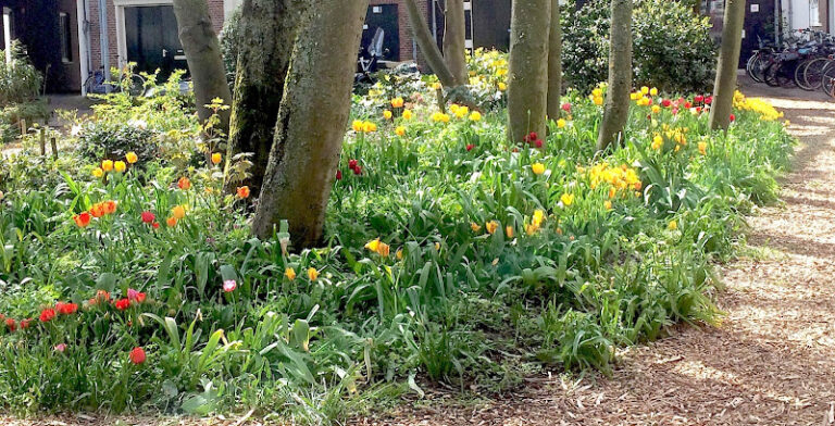 Toon yland plantsoen