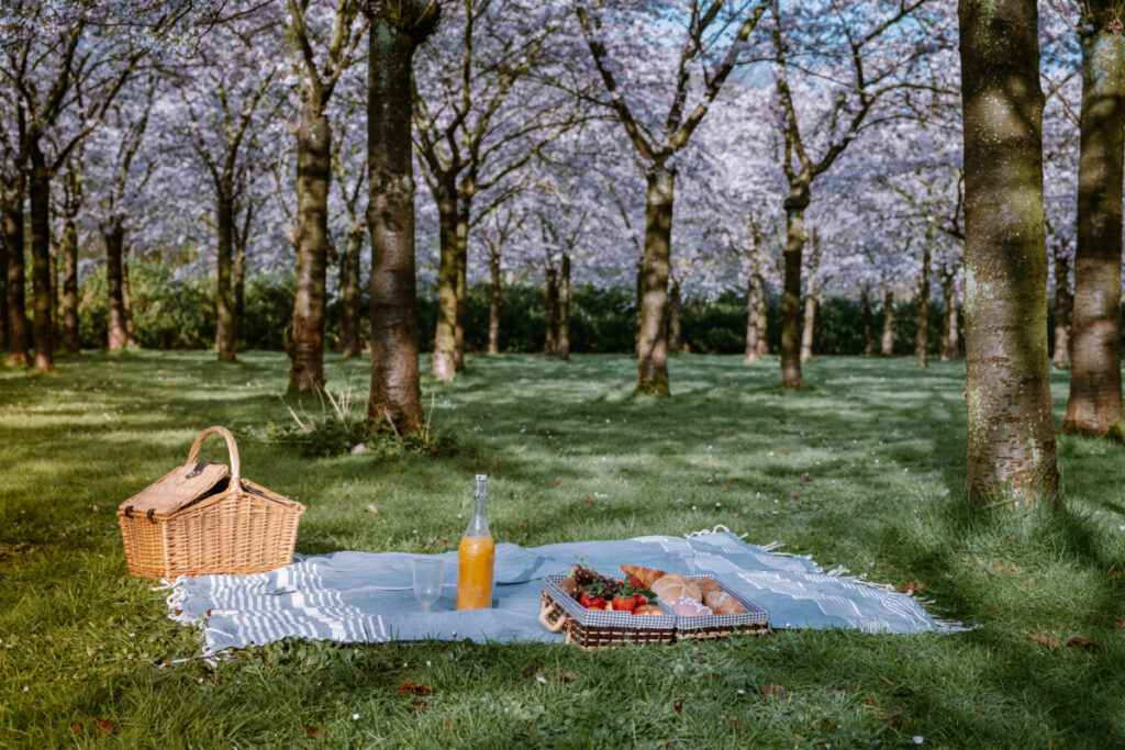 How to Visit Amsterdam on a Tight Budget (2026) 7 Friends sharing a picnic on the grass in Vondelpark