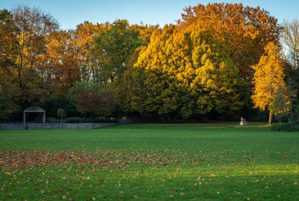 10 Pin‑Drop Perfect Places for Fall Colors in Amsterdam (Exact Spots, Zero Guesswork) 13 Autumn foliage view at the Beatrixpark in Amsterdam, Netherlands