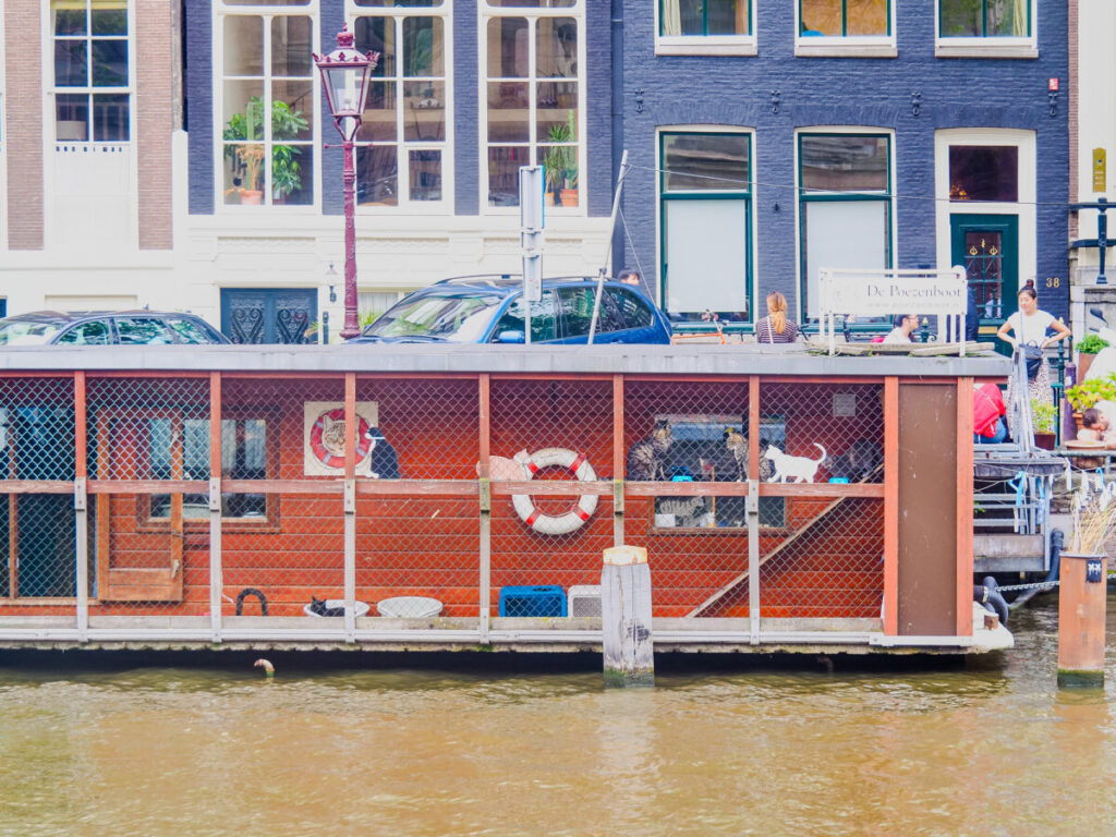 17 Unusual Ways to Explore Amsterdam 5 De Poezenboot (The Cat Boat) in Amsterdam, Netherlands