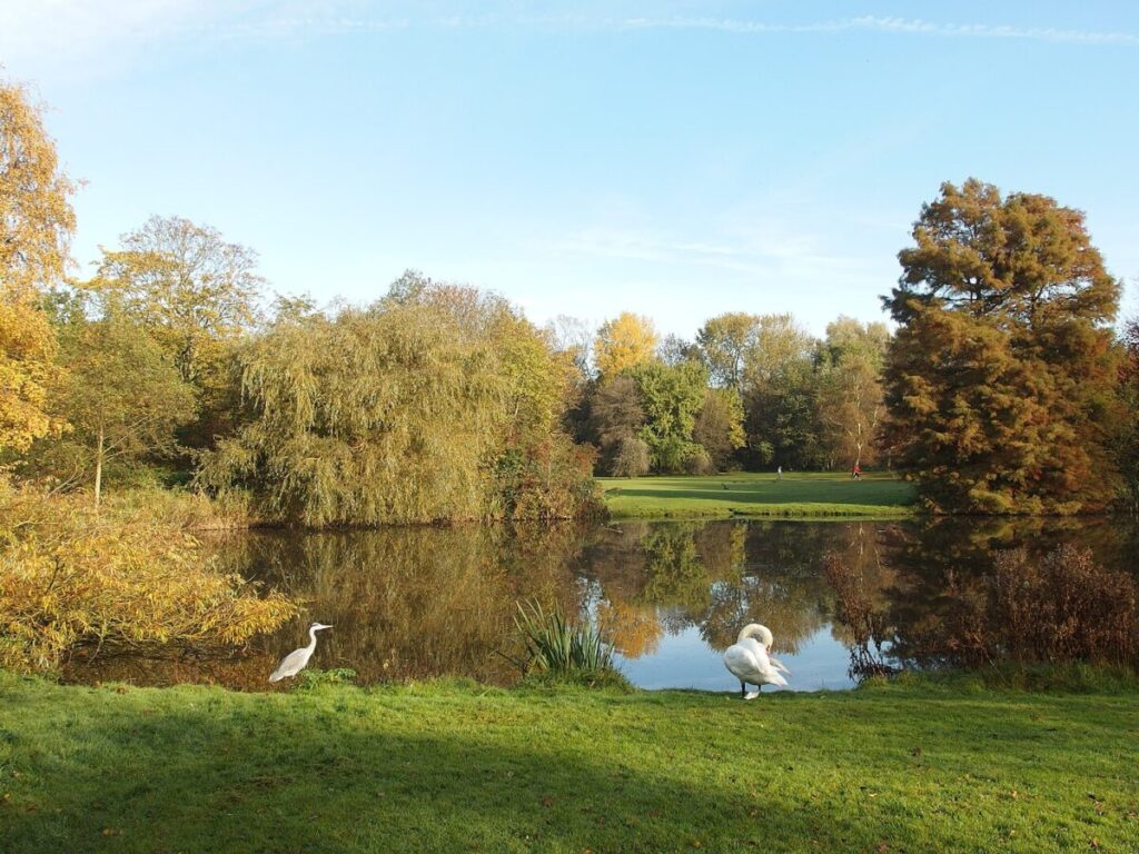 10 Pin‑Drop Perfect Places for Fall Colors in Amsterdam (Exact Spots, Zero Guesswork) 11 Autumn scene in Flevopark, Amsterdam, featuring colorful leaves, tranquil pathways, and a peaceful atmosphere.