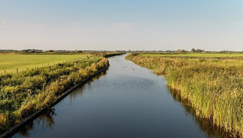 Walking the Netherlands' New Long-Distance Salt Path: A Journey Through Nature and Culture 5 Panoramic view of the salt marshes of Friesland
