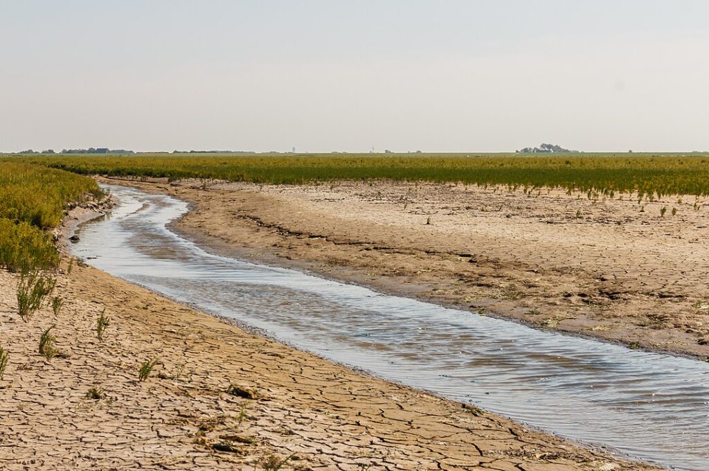 Walking the Netherlands' New Long-Distance Salt Path: A Journey Through Nature and Culture 17 Salt Path and Marsh at the Noarderleech Provincie Friesland, Netherlands
