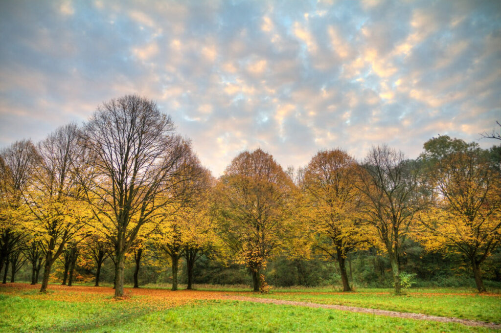5 Best Cycling Routes in Amsterdam: Maps, Distances and Tips 6 Autumn foliage beside a path in Amsterdamse Bos