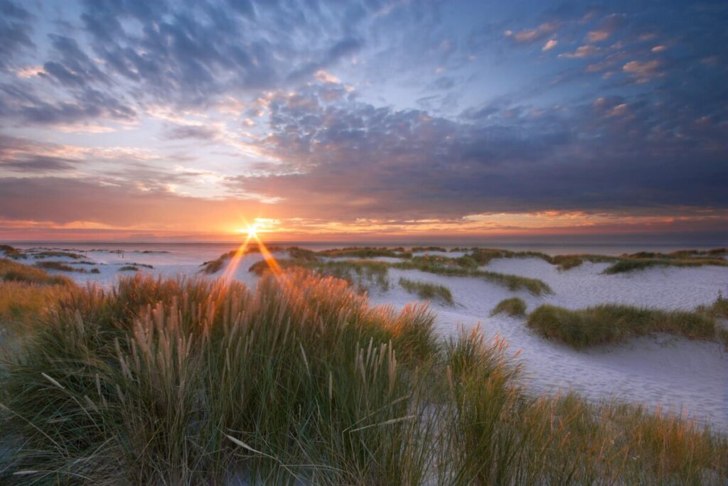 Walking the Netherlands' New Long-Distance Salt Path: A Journey Through Nature and Culture 30 Salth Path or the Het Ziltepad at Wadden in Netherlands