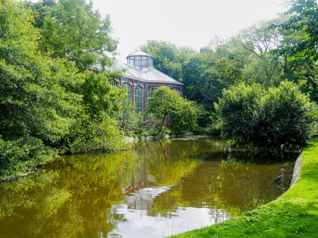 Amsterdam's Hidden Gems: 12 Off-the-Beaten-Path Attractions 5 Victorian glasshouse and a pond in the Hortus Botanicus Botanical Garden in Amsterdam, Netherlands