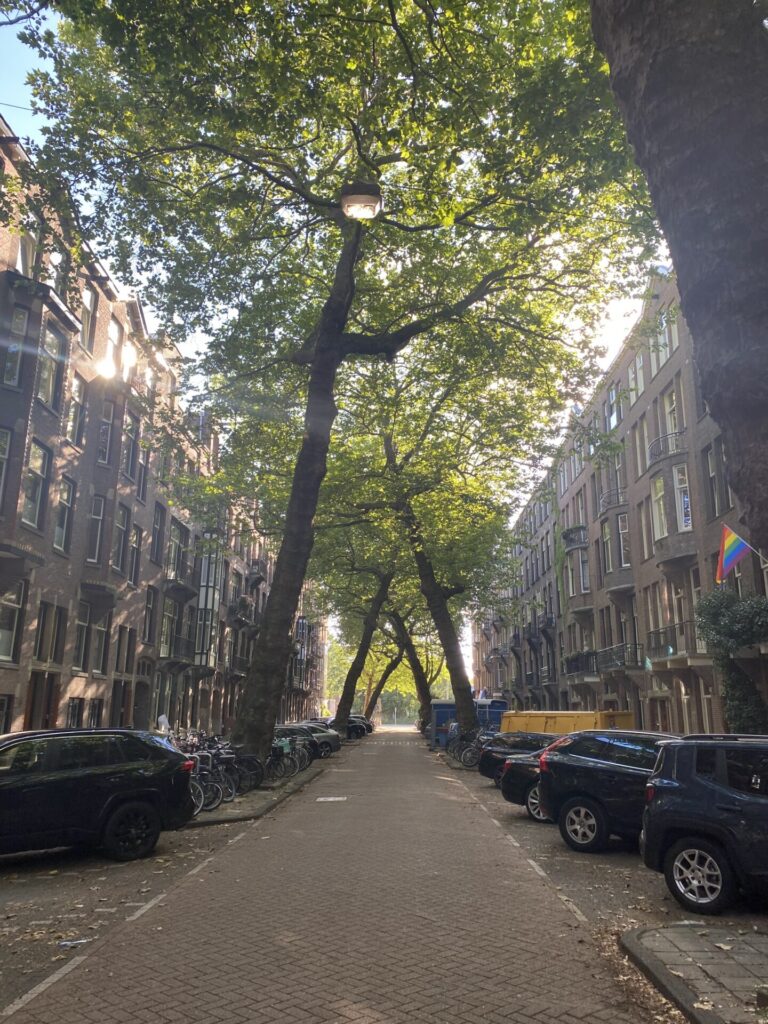 Lomanstraat X trees 6 Iconic leaning plane trees forming a natural gothic arch tunnel over Lomanstraat in Amsterdam Zuid