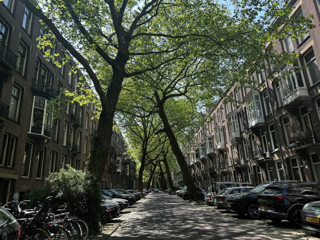 Lomanstraat X trees 5 Wide streetscape view of Lomanstraat in Amsterdam with dramatic angled trees framing residential townhouses
