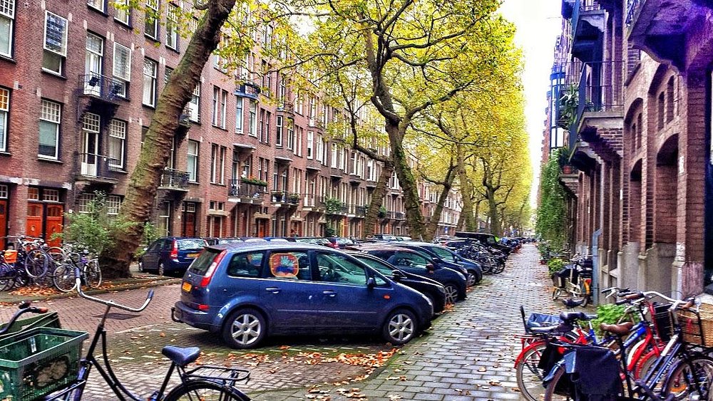 Lomanstraat in Amsterdam, with two rows of mature street trees leaning in over parked cars and bicycles until their branches meet above the road, autumn leaves on the ground