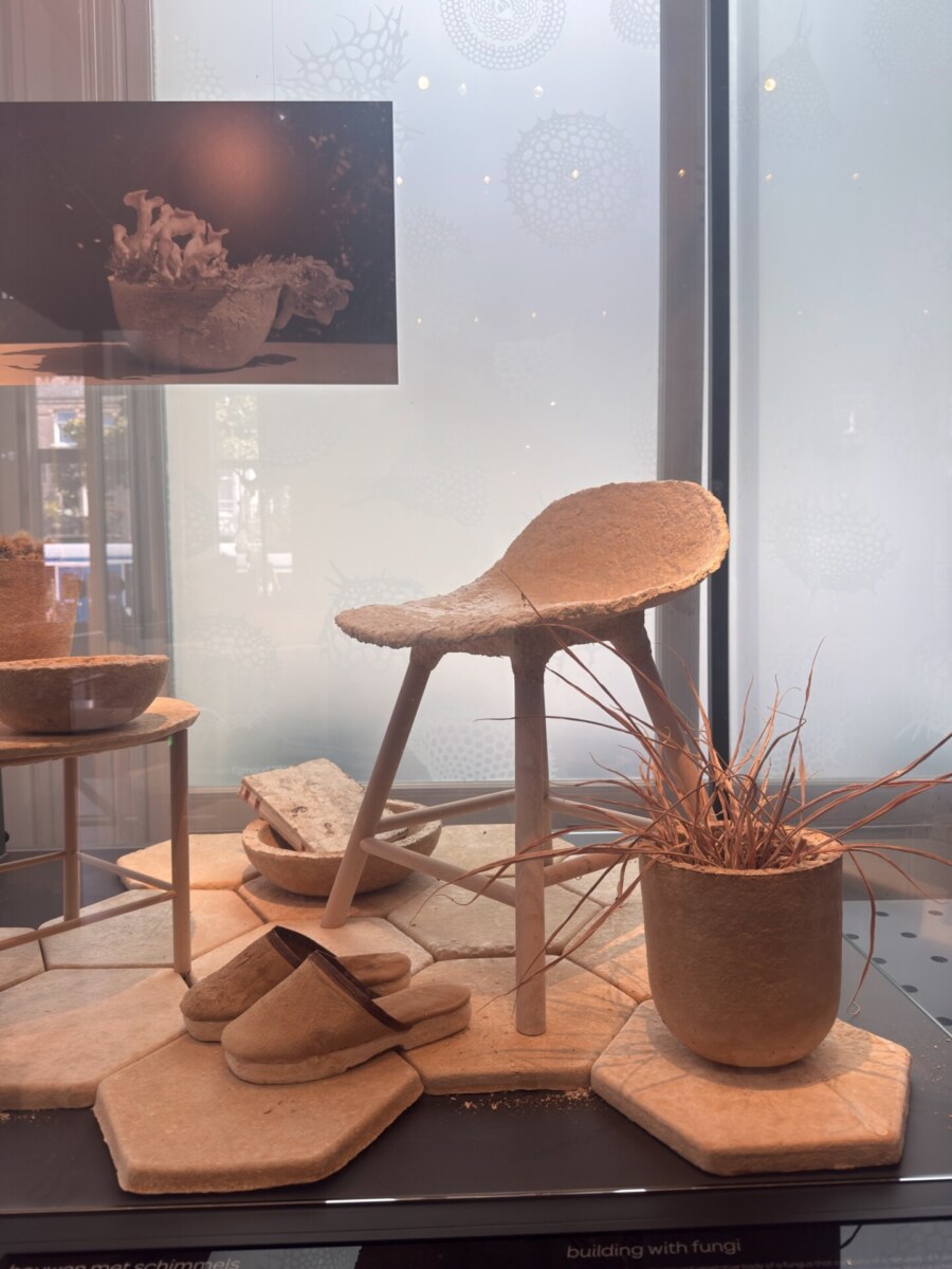 Building with Fungi exhibit showcasing sustainable mycelium furniture and home items at Micropia Amsterdam