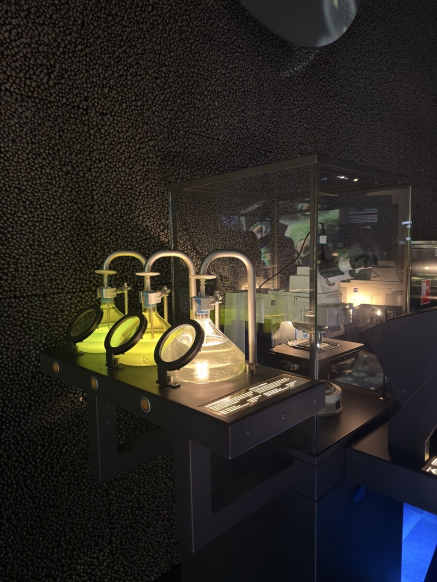 Laboratory workstation at Micropia with illuminated microbial culture flasks and optical research microscope