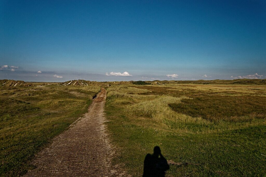 Walking the Netherlands' New Long-Distance Salt Path: A Journey Through Nature and Culture 23 Texel Salt Path in the Netherlands
