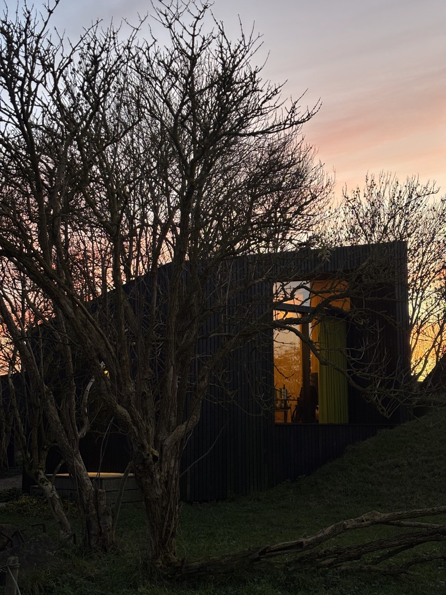 Vuurtoreneiland 17 Dark vertical timber cabin with illuminated glass window glowing at dusk among bare trees