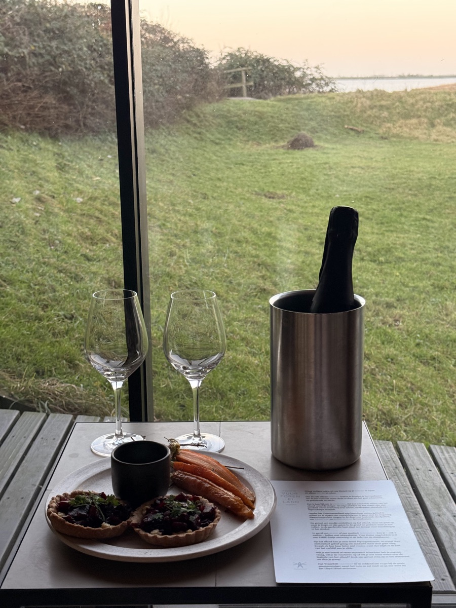 Vuurtoreneiland 10 Close-up of beetroot tarts, roasted baby carrots, and chilled wine on the cabin patio