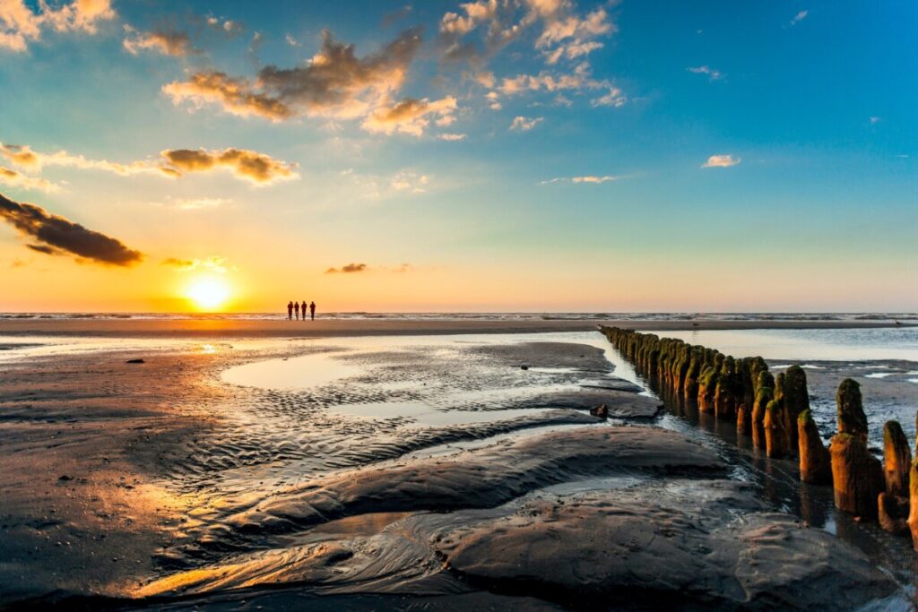 Walking the Netherlands' New Long-Distance Salt Path: A Journey Through Nature and Culture 31 Coast of the Wadden sea in Netherlands