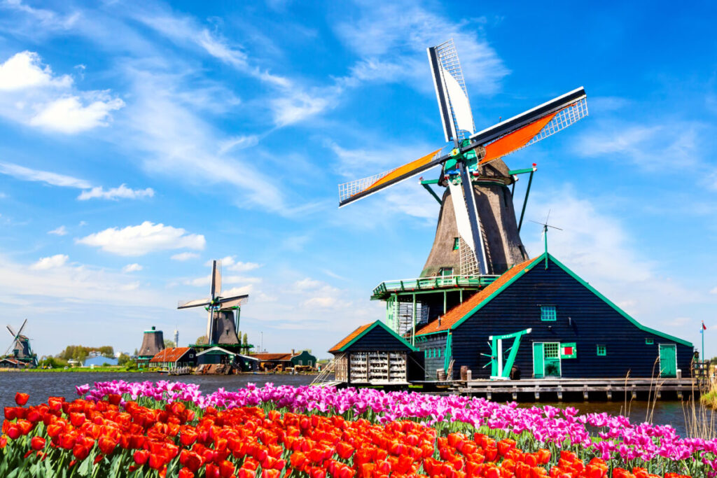 Kinderdijk vs Zaanse Schans Windmills: Which Dutch Icon Wins? 14 Iconic Dutch landscape featuring windmills, tulip fields, and a river, set against a clear blue sky in Zaanse Schans.